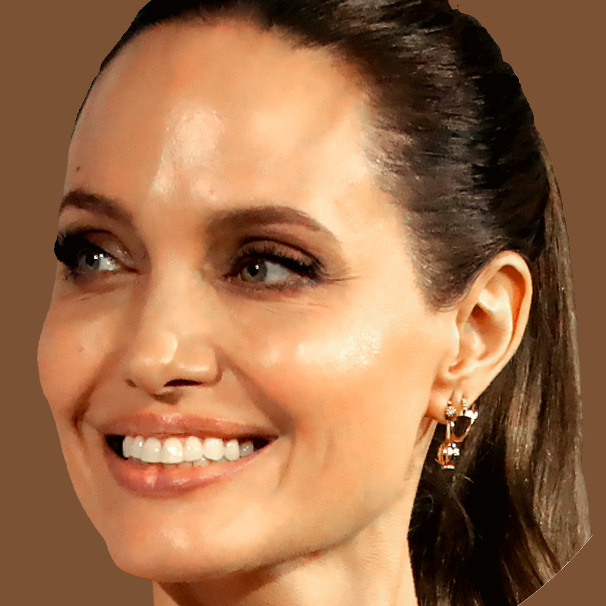 Angelina Jolie Net Worth