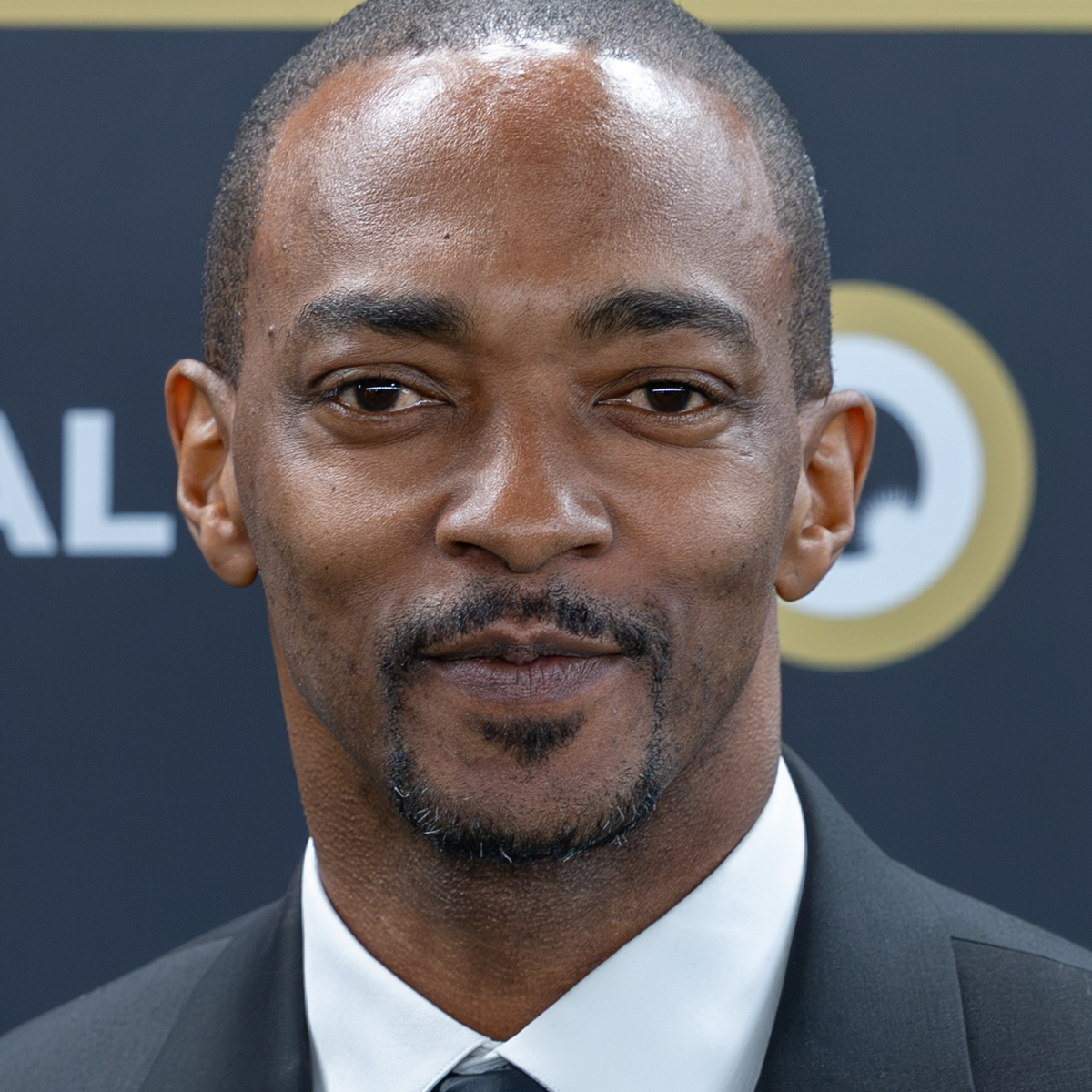 Anthony Mackie Net Worth