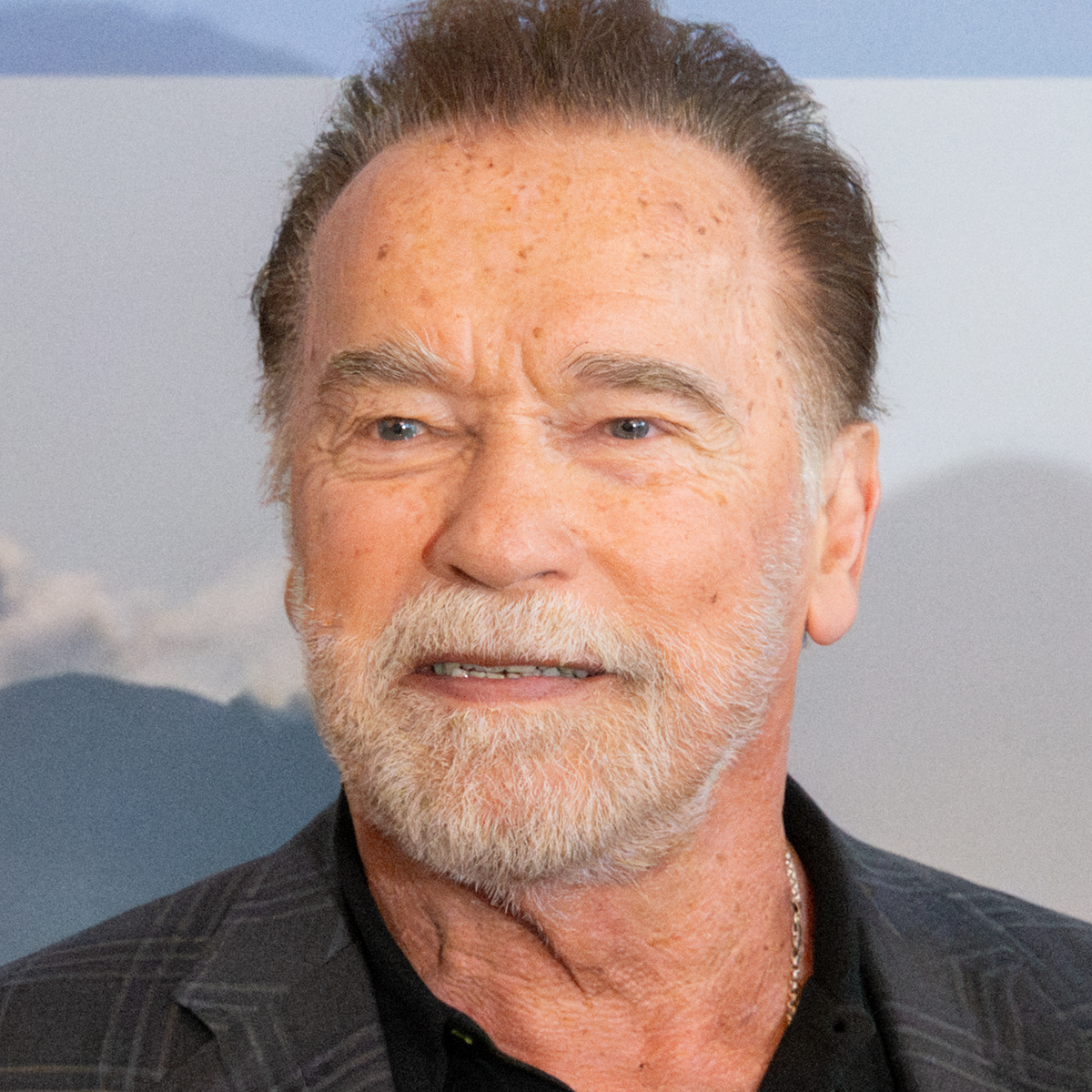 Arnold Schwarzenegger Net Worth