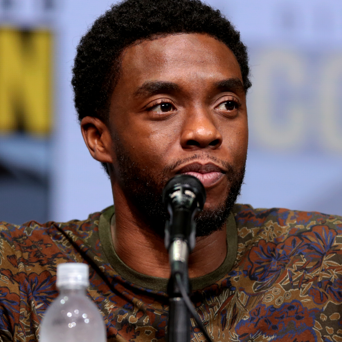 Chadwick Boseman Net Worth