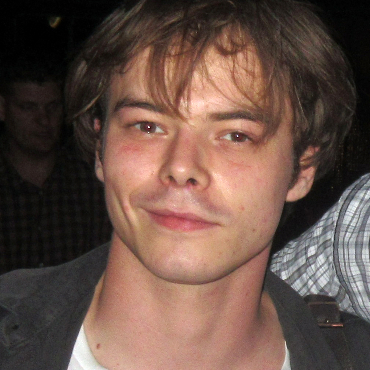 Charlie Heaton Net Worth