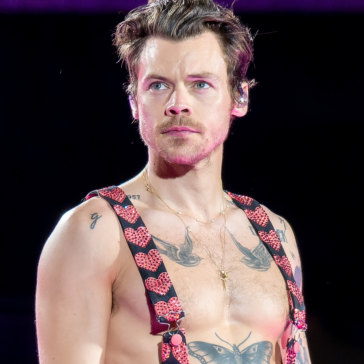 Harry Styles Net Worth