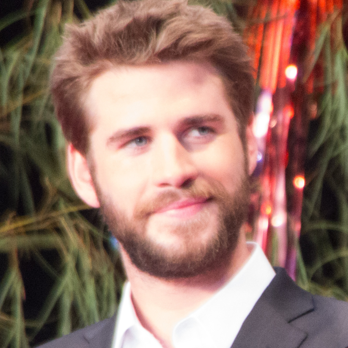 Liam Hemsworth Net Worth