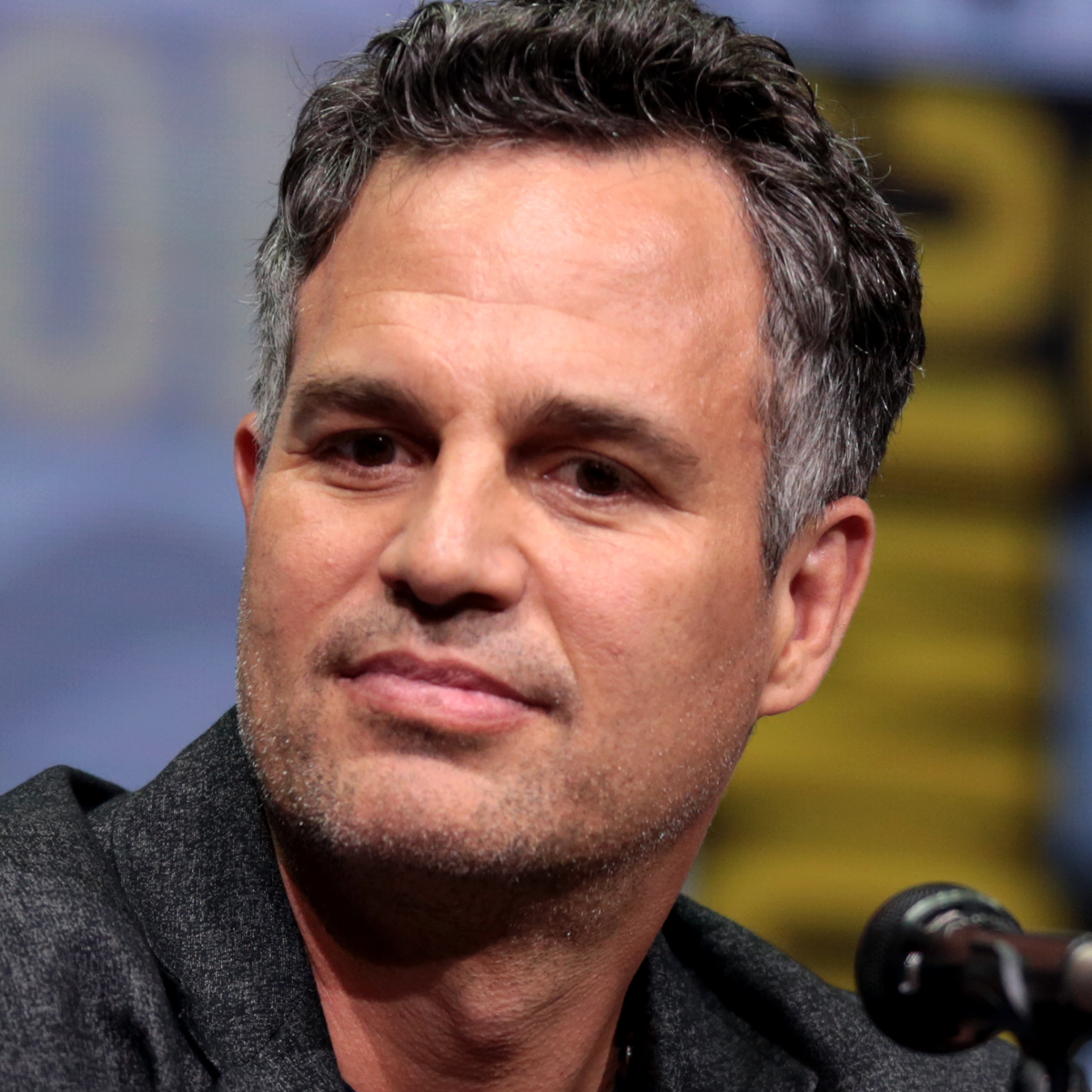 Mark Ruffalo Net Worth