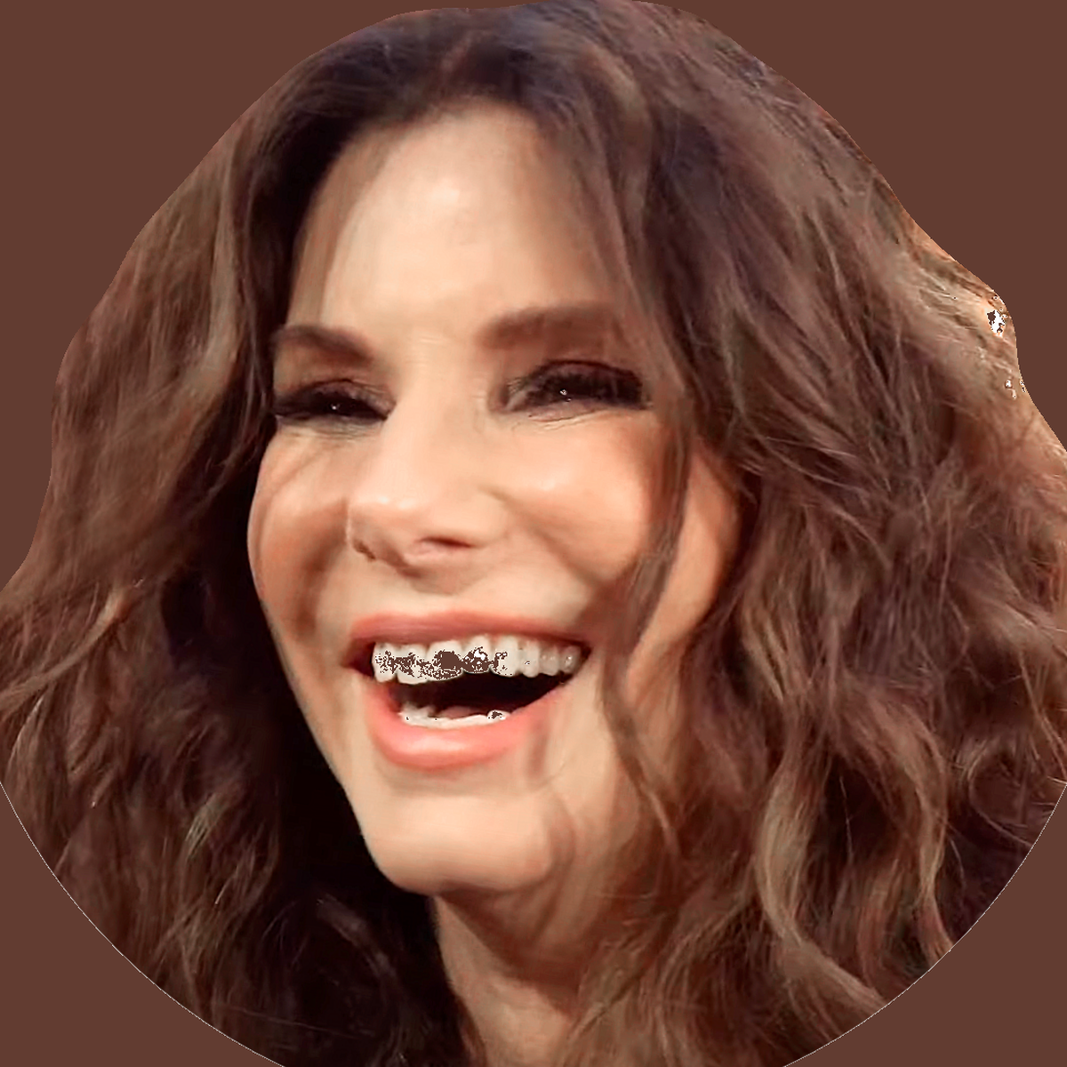 Sandra Bullock Net Worth