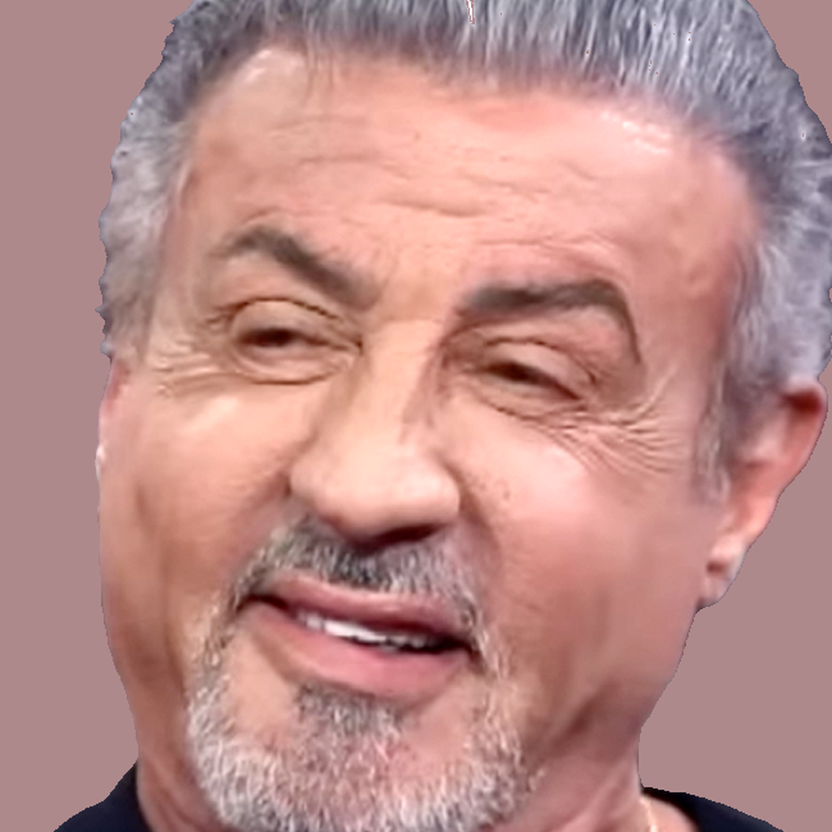 Sylvester Stallone Net Worth