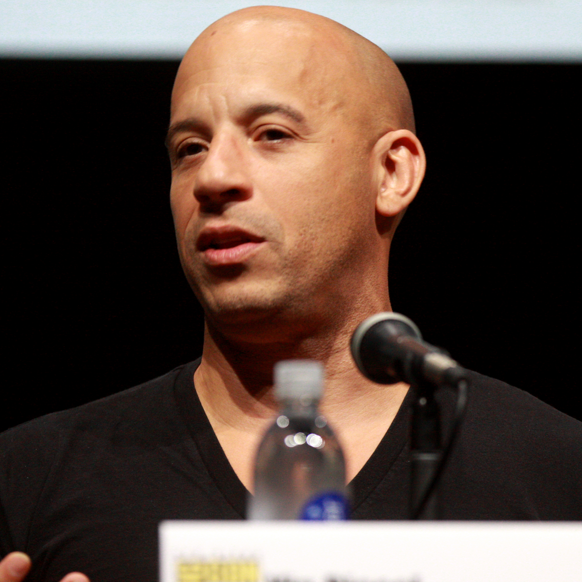 Vin Diesel Net Worth