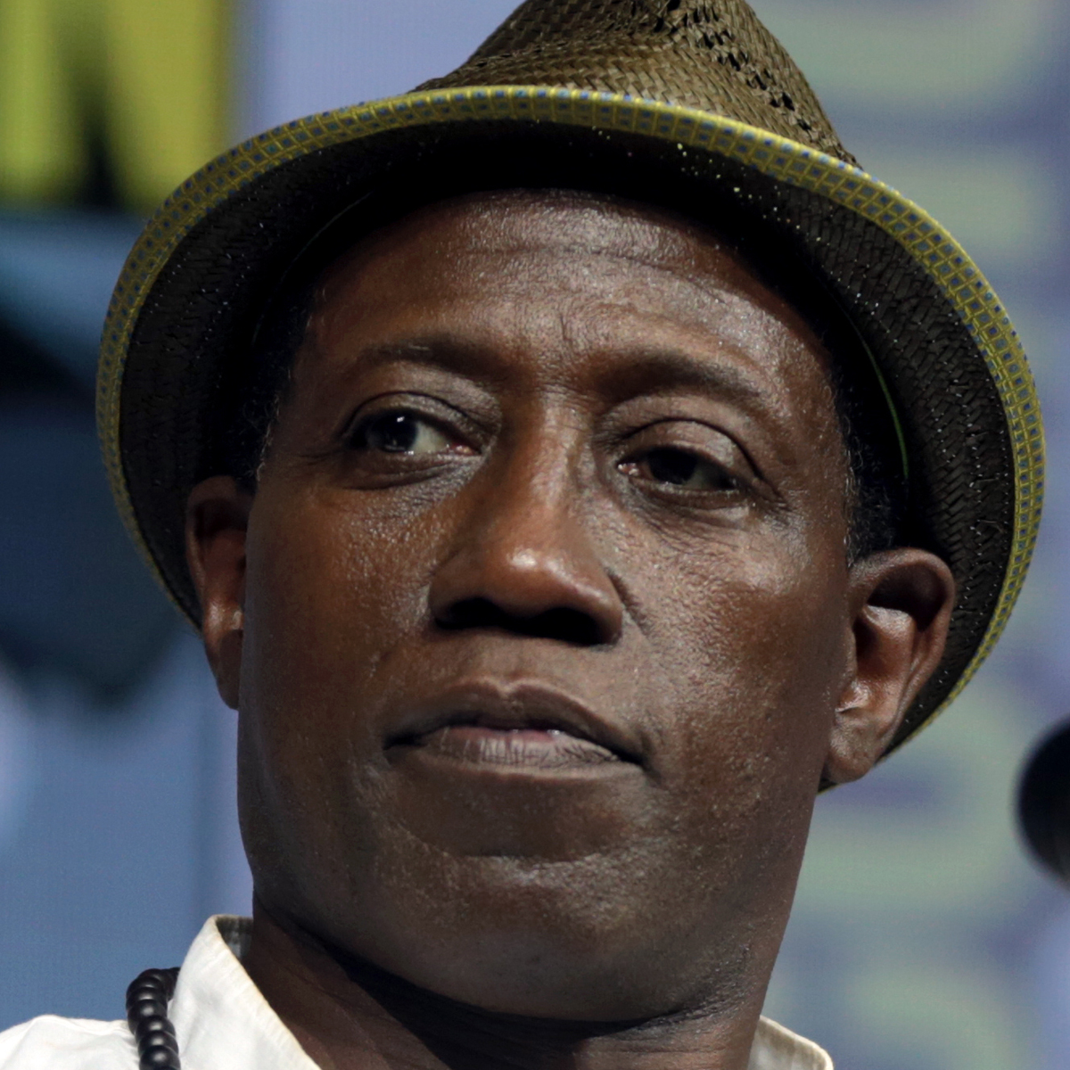 Wesley Snipes Net Worth