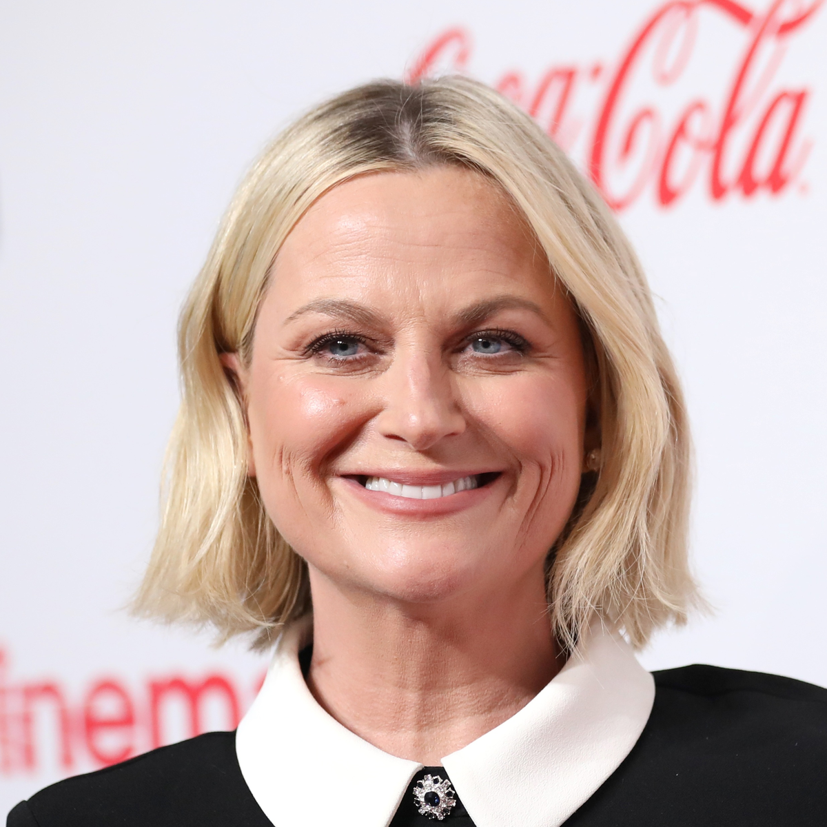 Amy Poehler Net Worth