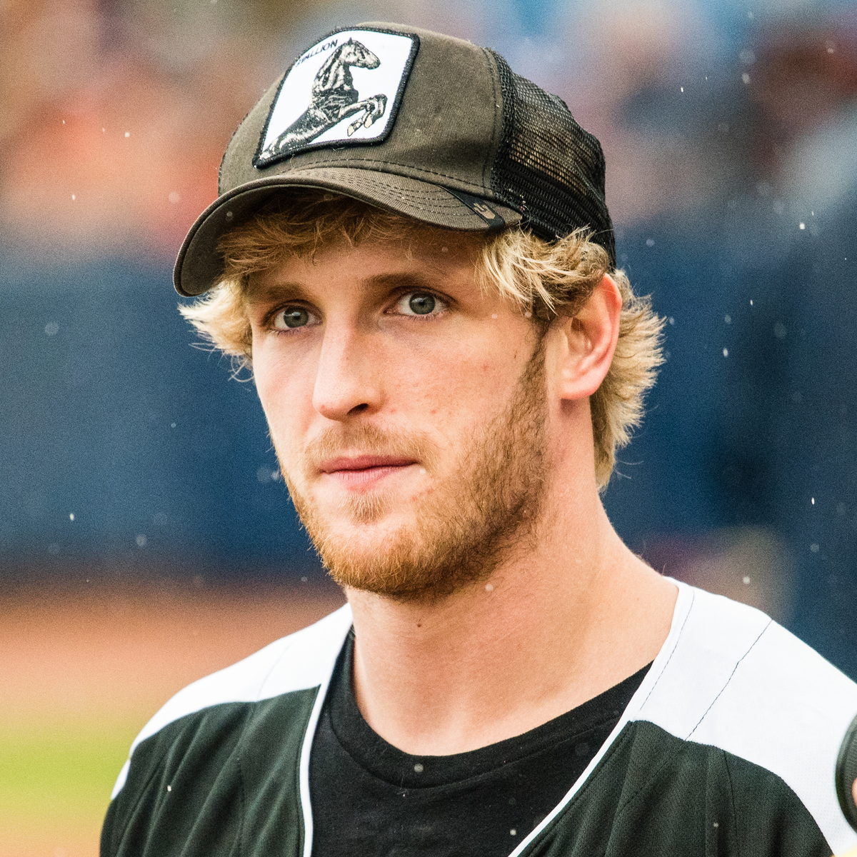Logan Paul Net Worth