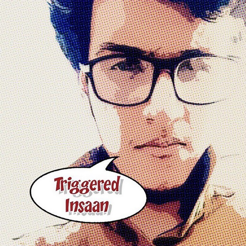 Triggered Insaan Net Worth