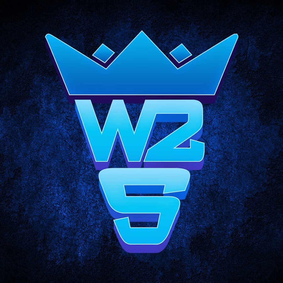 W2S Net Worth